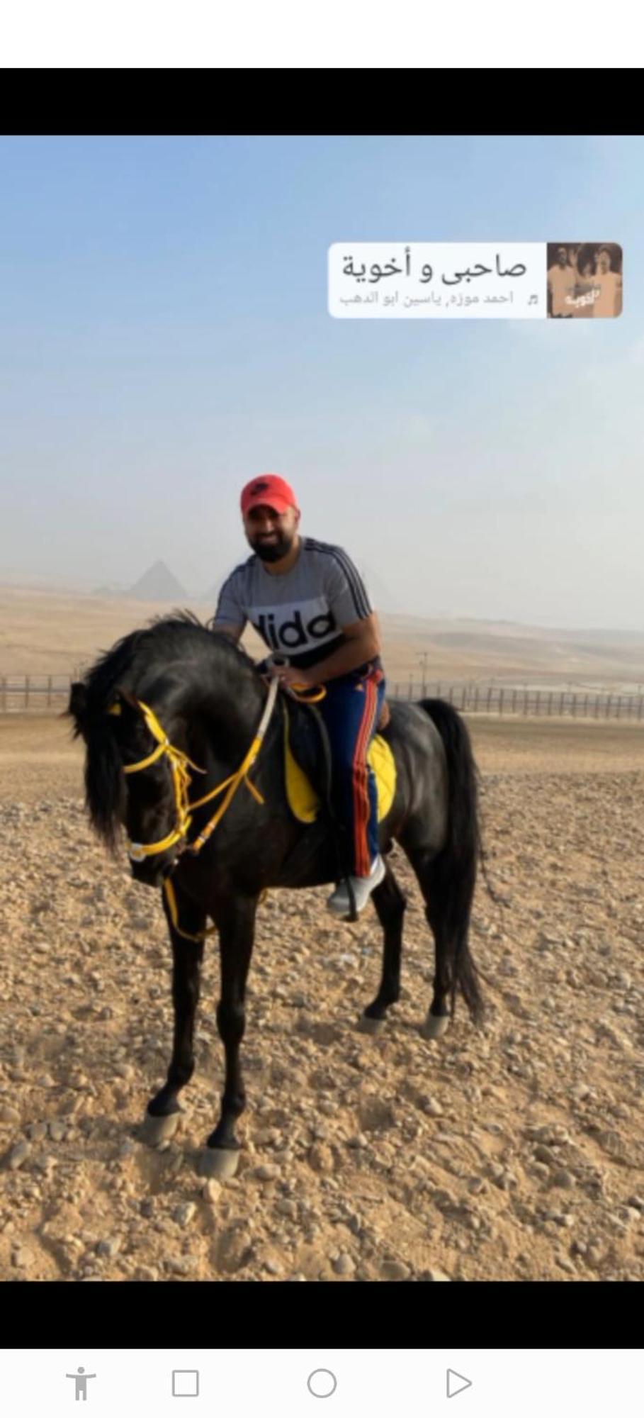 Mesho Falcon Pyramids View Inn Kafret el-Gabal 外观 照片